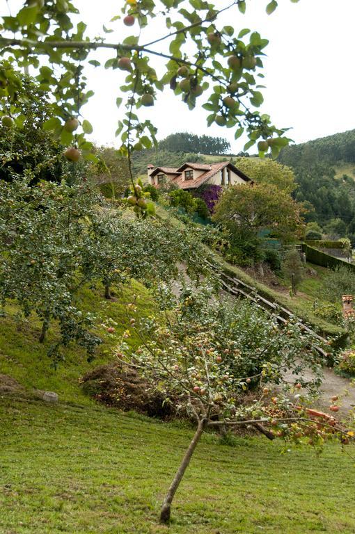 Trisqueles Y Buganvillas Villaviciosa  Esterno foto