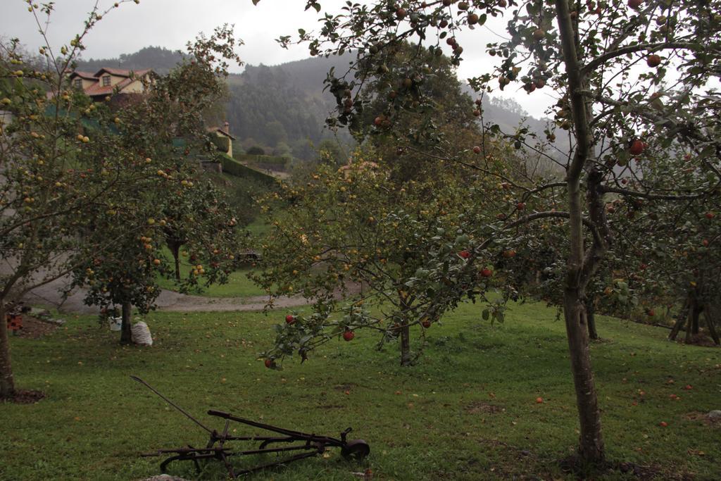 Trisqueles Y Buganvillas Villaviciosa  Esterno foto